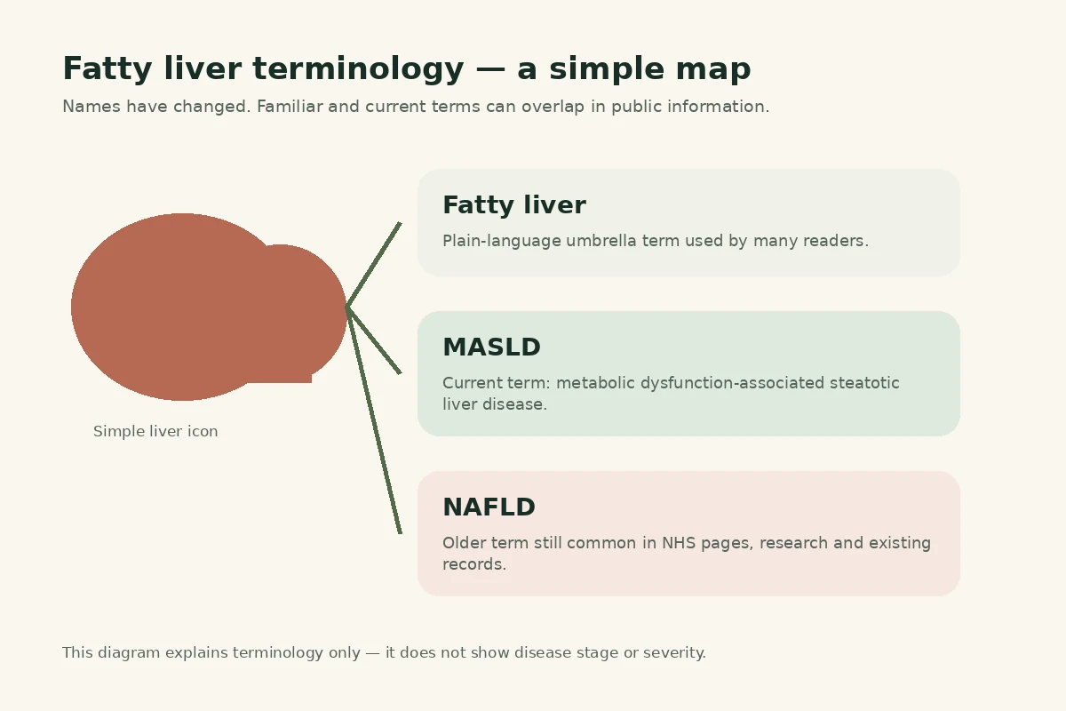 Simple diagram illustrating the relationship between the terms MASLD, NAFLD and fatty liver.